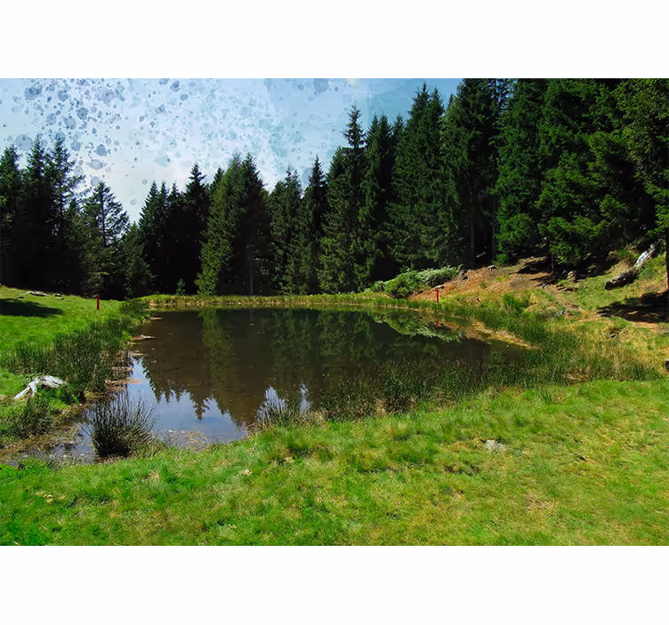 Green field, trees and lake nature wall mural - TenStickers