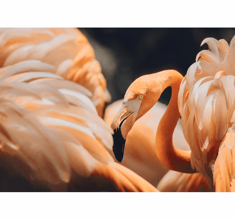 Animal wall mural elegant flamingo scene - TenStickers