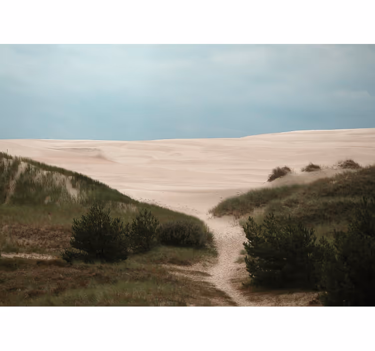 Landscape wall mural sandy dune path - TenStickers