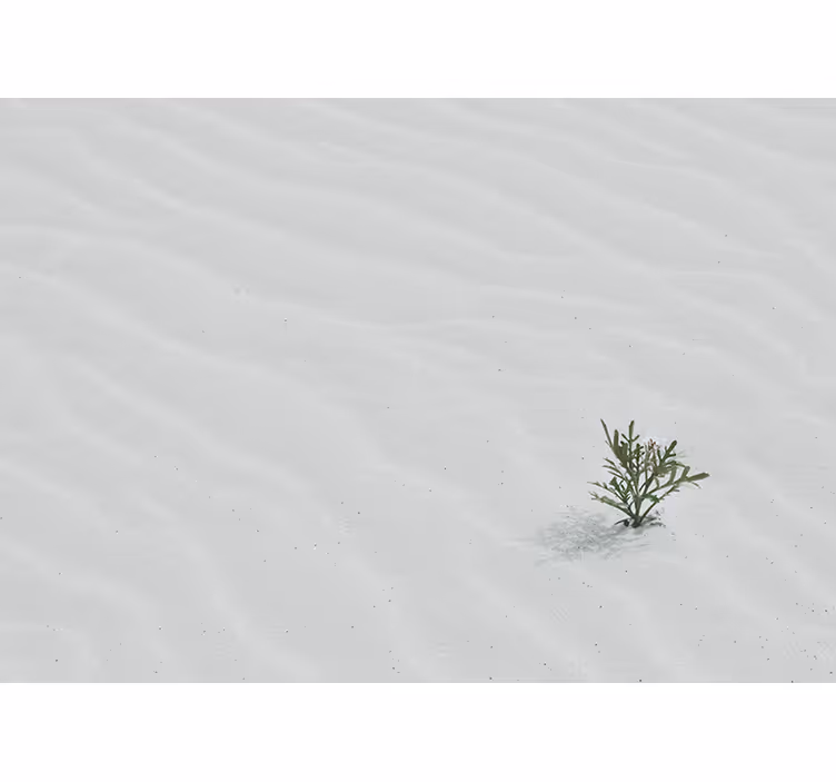 Nature wall mural sand and greenery design - TenStickers