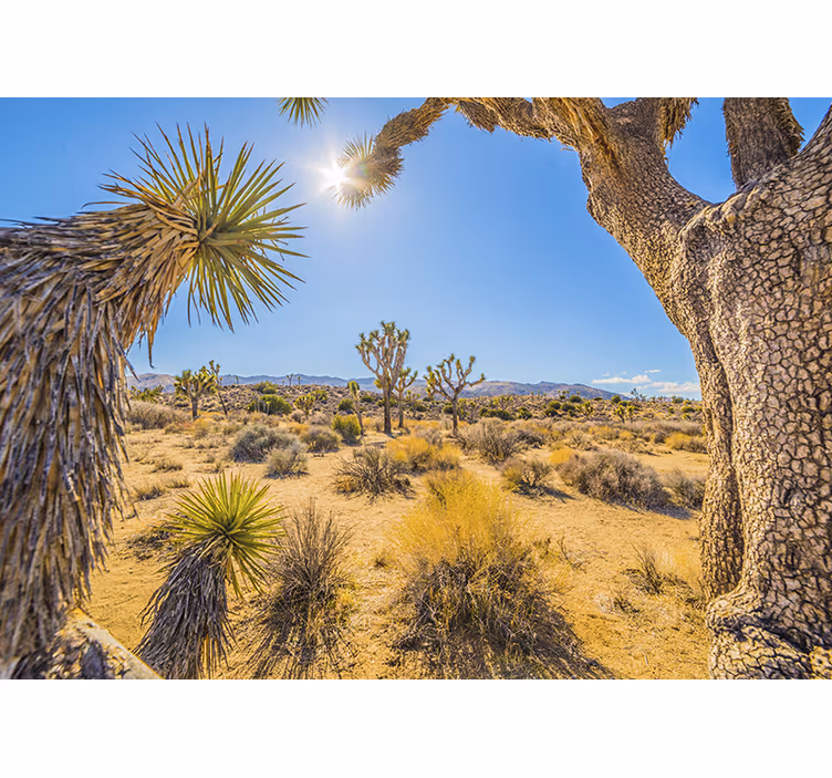 Mountain wall mural desert landscape oasis - TenStickers
