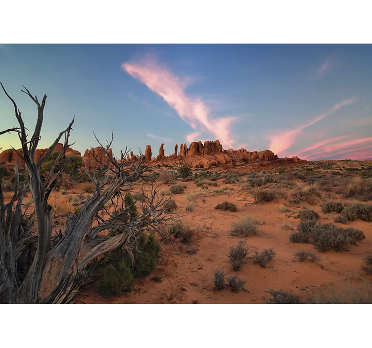 Landscape wall mural desert rock formations - TenStickers