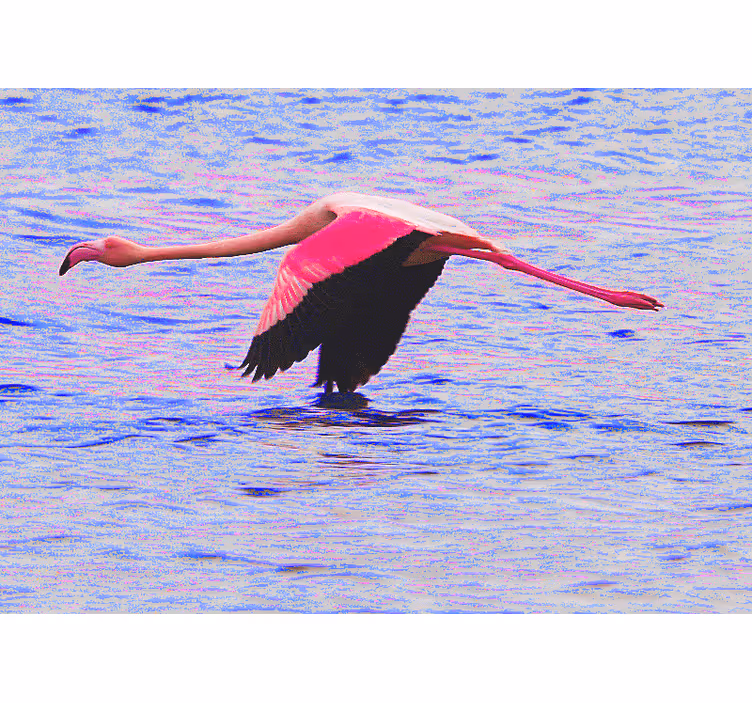 Flamingo in flight animal wall mural - TenStickers