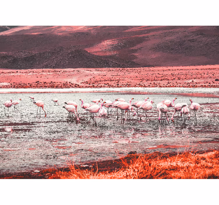 Animal wall mural flamingo habitat scene - TenStickers