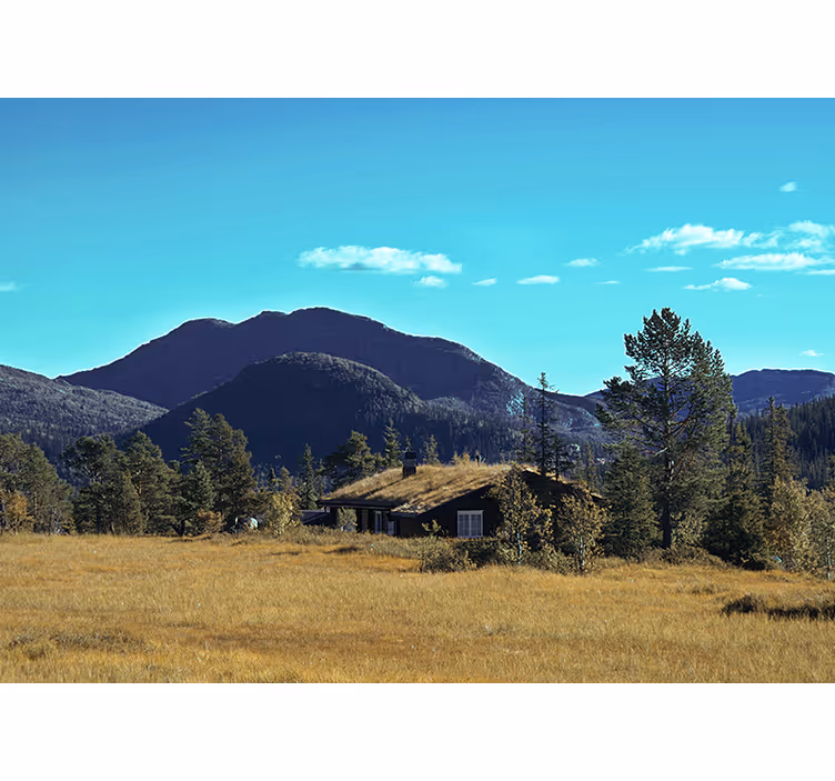 Landscape wall mural mountain cabin escape - TenStickers