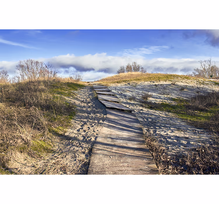Wooden pathway landscape landscape wall mural - TenStickers