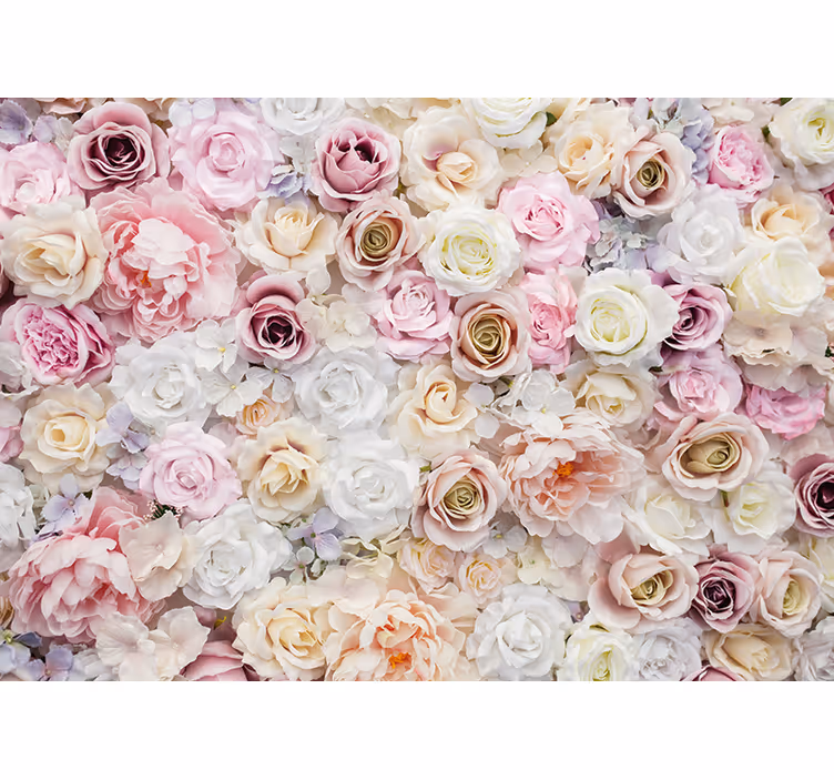 Flower wall mural rose blossom collection - TenStickers