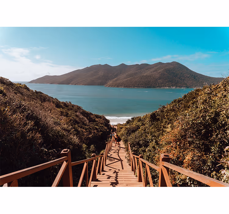 Landscape wall mural serene ocean pathway - TenStickers