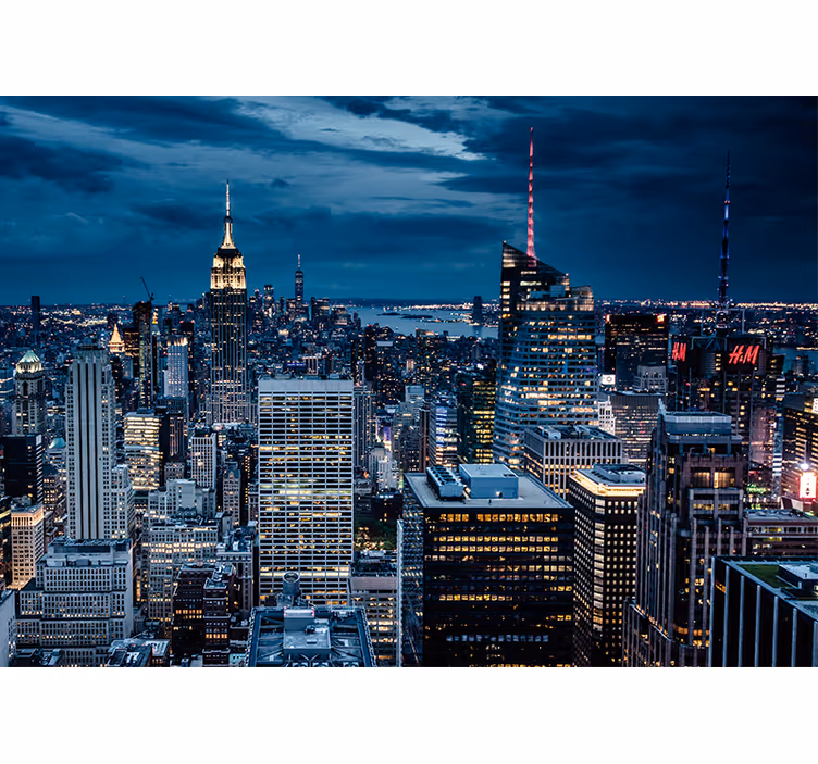 Manhattan's skyscrapers  new york wall mural - TenStickers