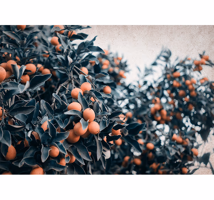 Flower wall mural citrus fruit branch design - TenStickers