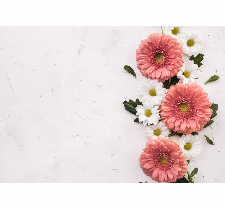 Pink 3D daisy flowers wall mural - TenStickers