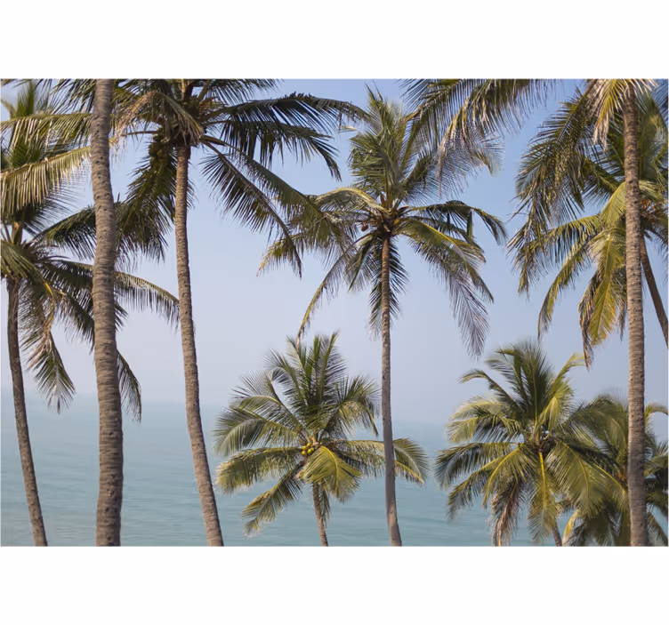 Nature wall mural palm trees scenery - TenStickers