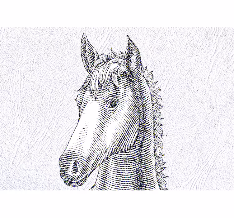 Animal wall mural elegant horse portrait - TenStickers