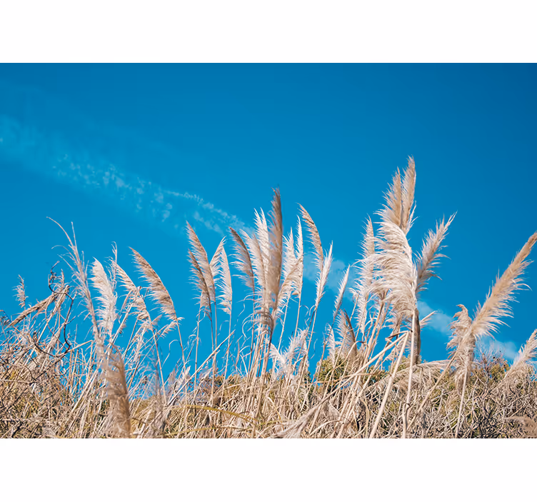 Flower wall mural pampas grass serenity - TenStickers