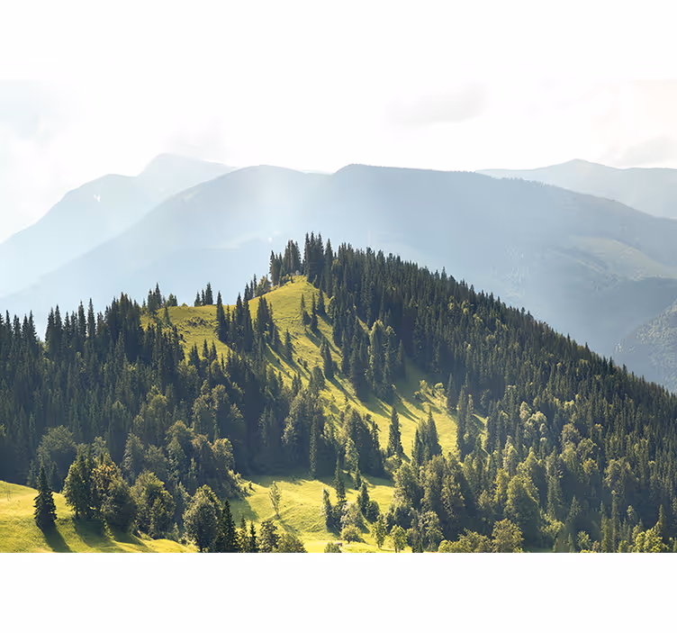 Green field and rocky Mountain wall mural - TenStickers