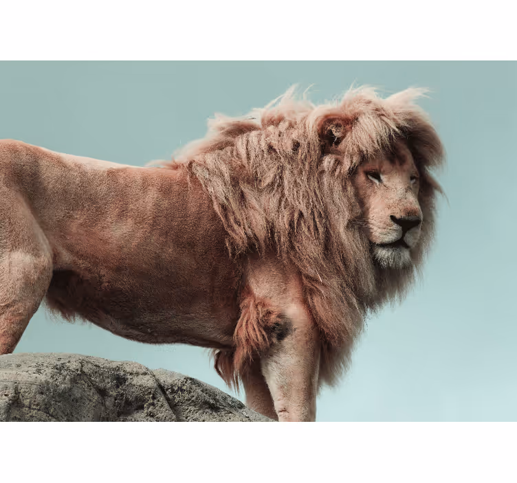 Lion King of the Jungle africa wall mural - TenStickers
