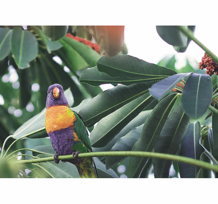 Animal wall mural colorful parrot perched - TenStickers