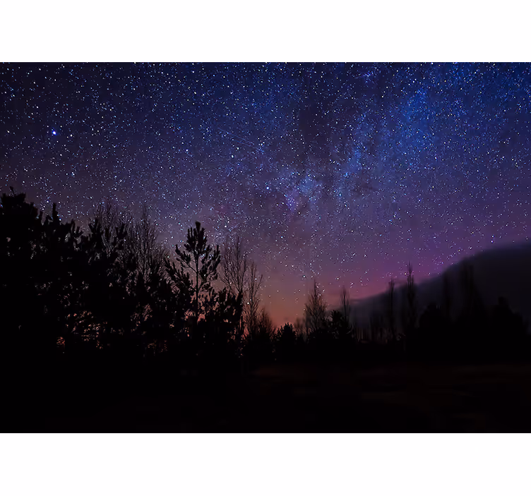 Stars in the forest living room wall mural - TenStickers