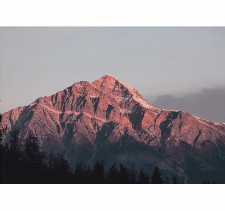 Natural aesthetic photography nature wall mural - TenStickers