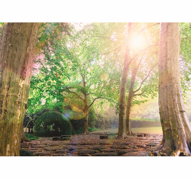 Nature wall mural lush greenery calm - TenStickers