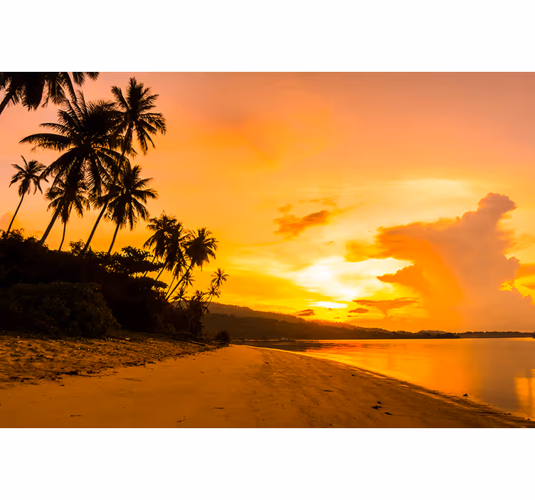 Landscape wall mural tropical sunset calm - TenStickers