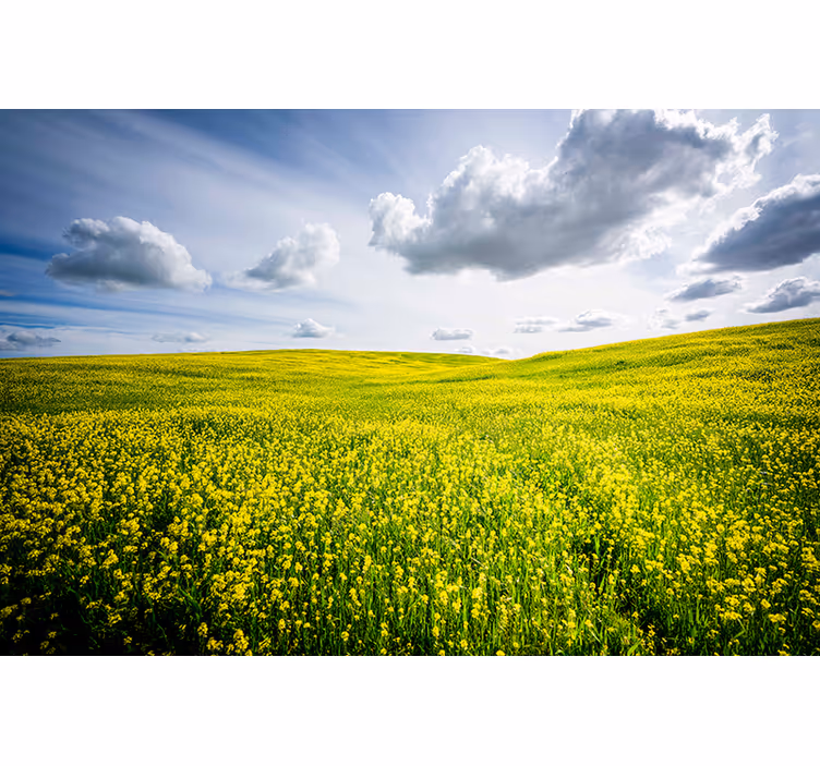 Nature wall mural vast green meadow - TenStickers