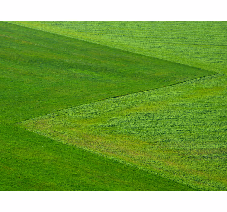 Pure green fields nature wall mural - TenStickers