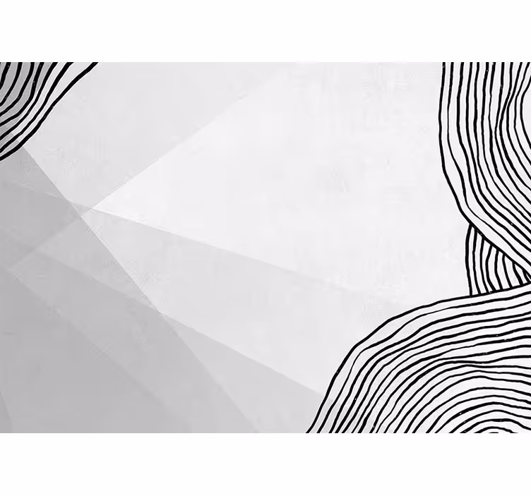Abstract wall mural geometric line art design - TenStickers