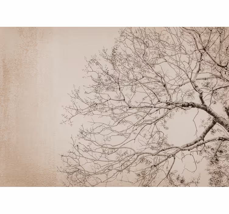 Tree wall mural beautiful branching silhouette - TenStickers