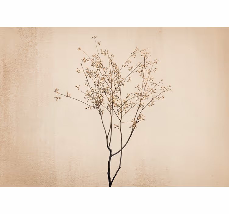 Flower wall mural delicate floral branch - TenStickers