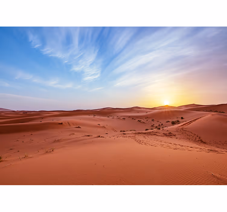 Desert wall mural golden desert sunset - TenStickers