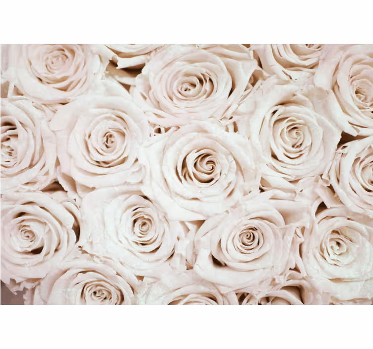 Elegant flower design rose wall mural - TenStickers