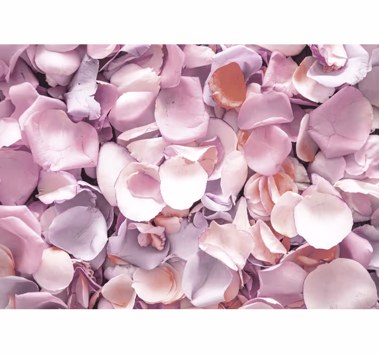 Elegant style pink rose leaves wall mural - TenStickers