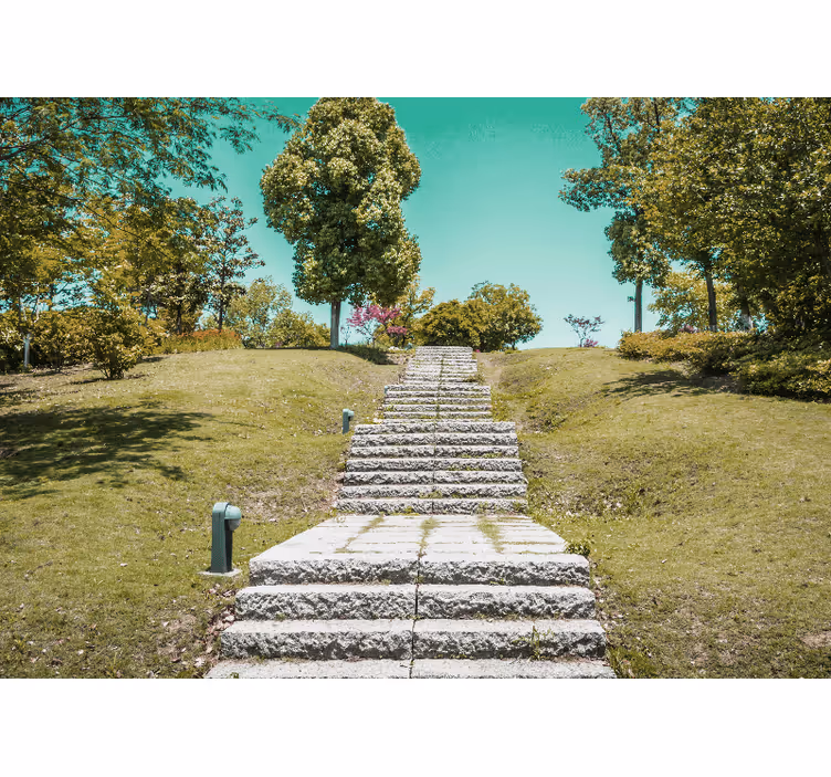 Nature wall mural staircase through nature - TenStickers
