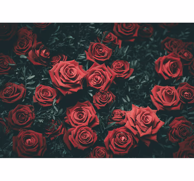 Flower wall mural romantic red roses design - TenStickers
