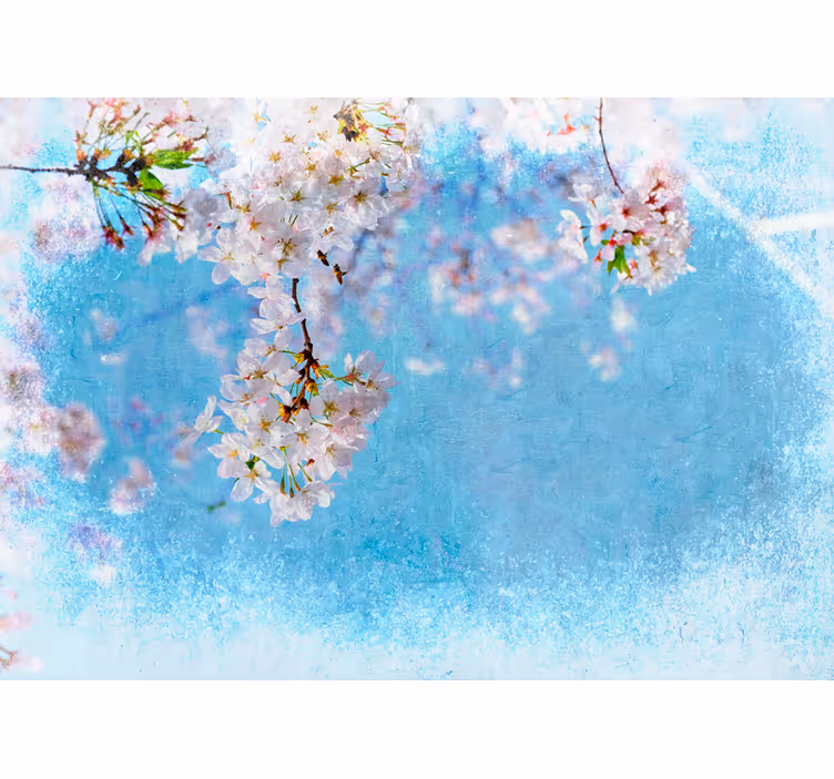 Cherry blossom serenity flower wall mural - TenStickers