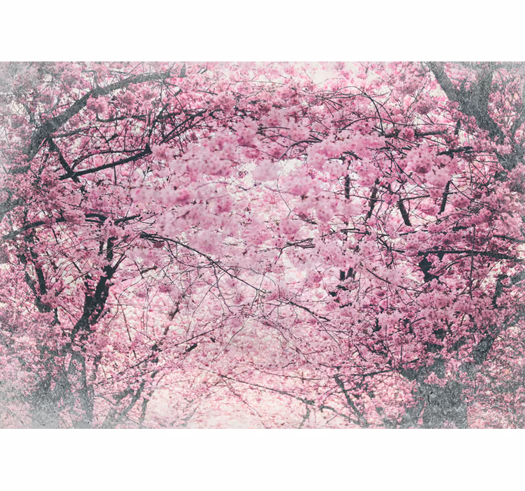 Vibrant cherry blossom trees wall mural - TenStickers