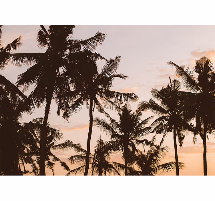 Sunset Palm Tree living room wall mural - TenStickers