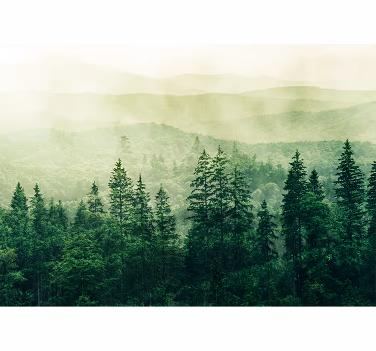 Nature wall mural misty green landscape - TenStickers