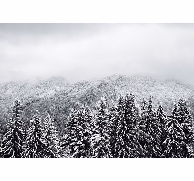 Nature wall mural wintry woodland scene - TenStickers