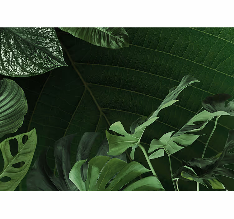 Lush green foliage nature wall mural - TenStickers