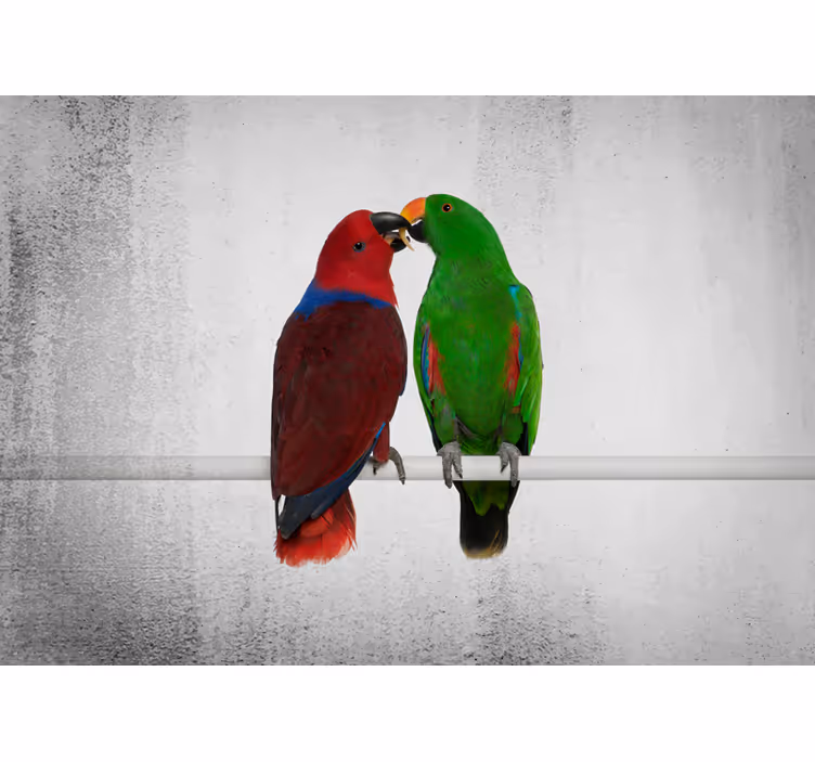 Animal wall mural colorful parrots interaction - TenStickers