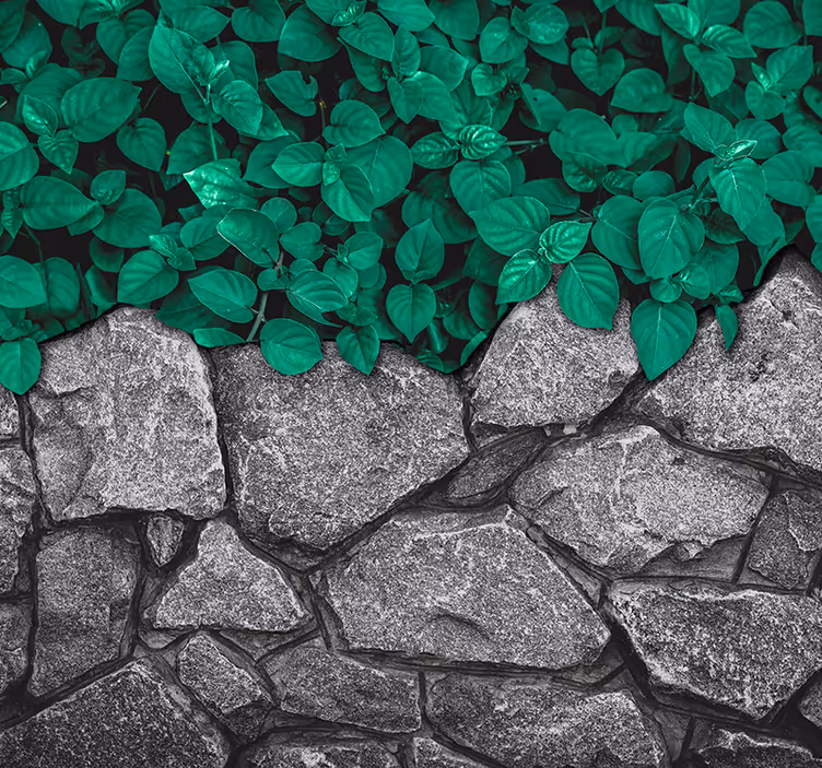 Leaves and stones living room wall mural - TenStickers