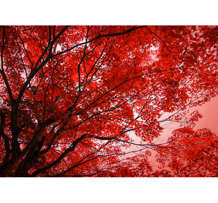 Red Branches Tree Wall Mural - TenStickers