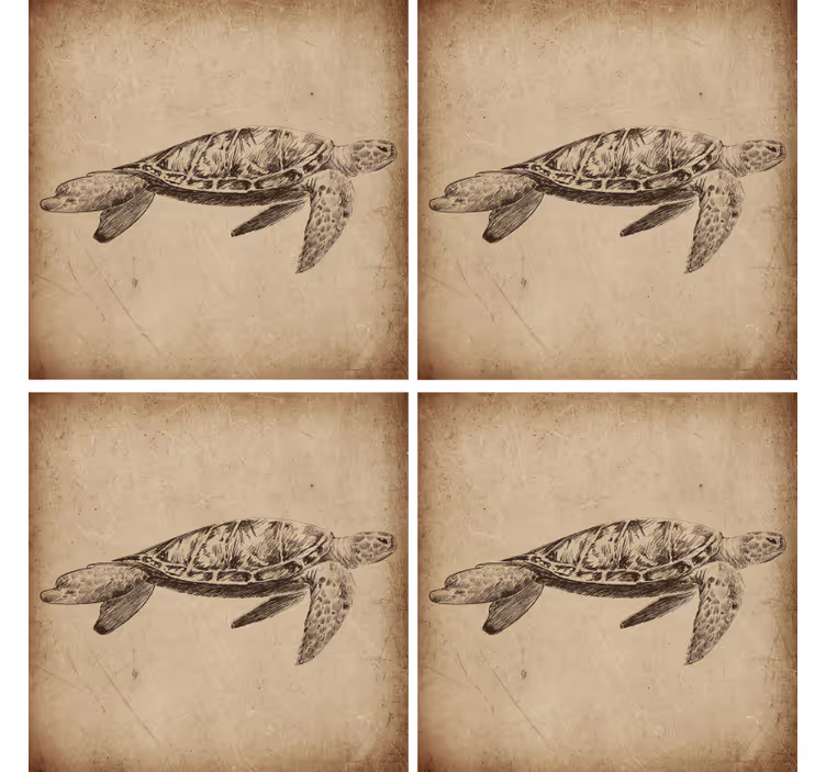 Sketch sea life turtle Illustration vintage coasters - TenStickers