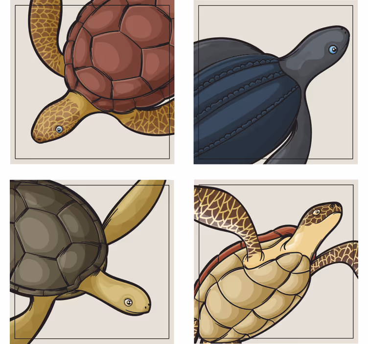 Geek coasters with vibrant turtle artwork - TenStickers