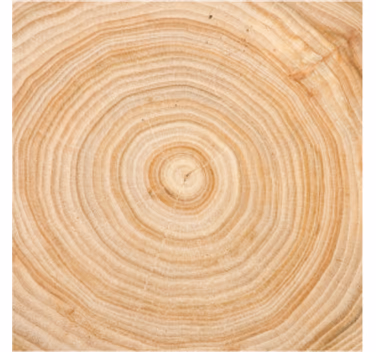 Circular wooden pattern bark tree coaster - TenStickers