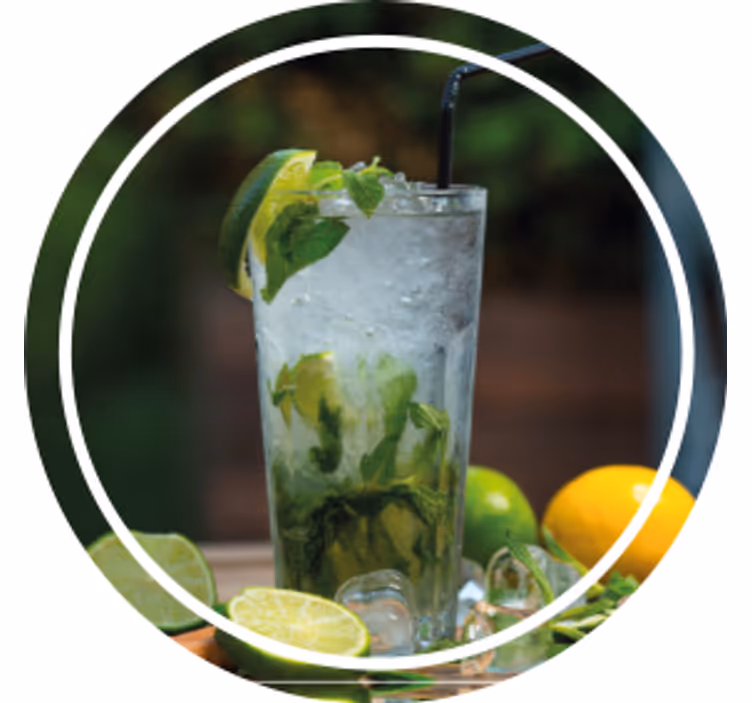 Modern coasters for refreshing minty drinks - TenStickers