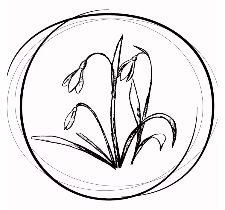 Coasters elegant floral sketch design - TenStickers