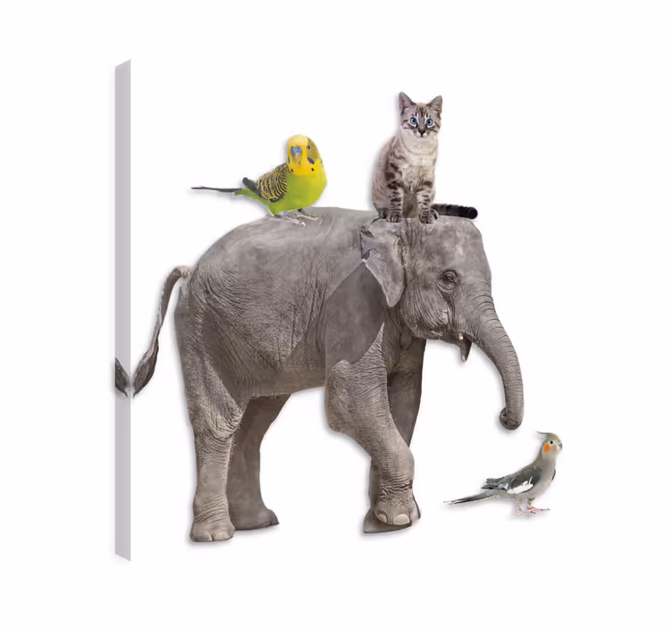 Various animals elephant wallart - TenStickers